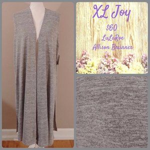 ⭐ Lularoe Joy Sweater - XL - NWT